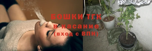 тгк Лагань