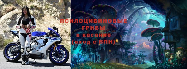 бошки Лабытнанги