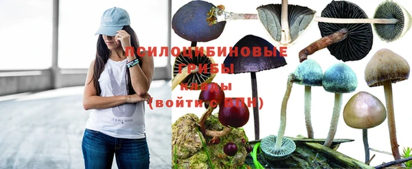 бошки Лабытнанги