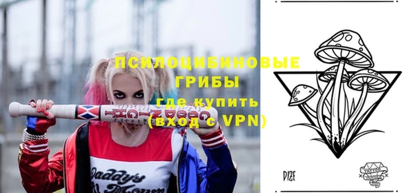 сатива Ладушкин