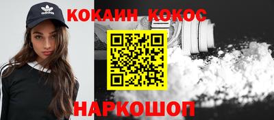 молекула духа Кингисепп