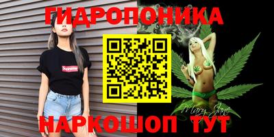 дмт Кимры