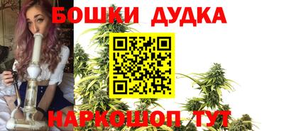 молекула духа Кингисепп