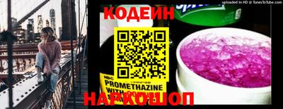 молекула духа Кингисепп
