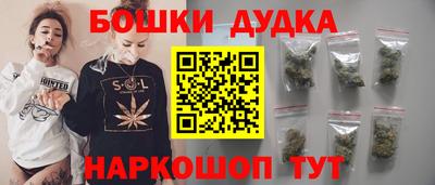 молекула духа Кингисепп