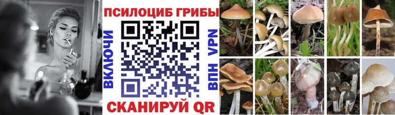Псилоцибиновые грибы Psilocybine cubensis  мега маркетплейс  Учалы 