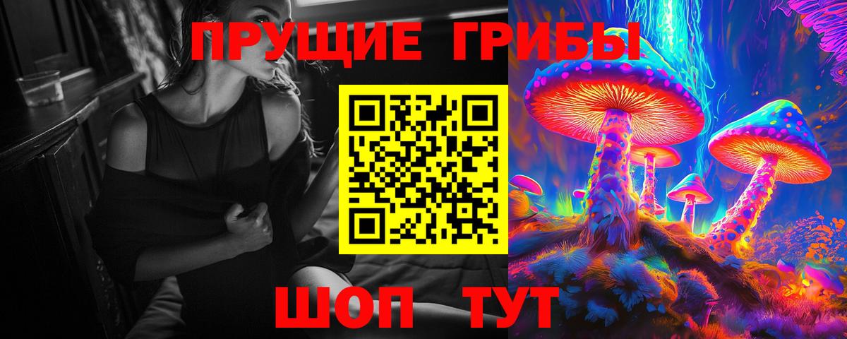 Галлюциногенные грибы Psilocybe  Учалы 